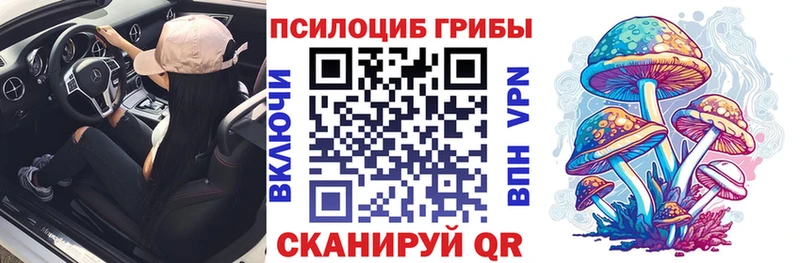 blacksprut ТОР  Богородск  Псилоцибиновые грибы прущие грибы  закладки 